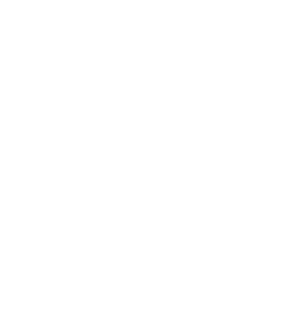 Gallery item showcase
